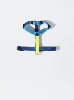 PARFOIS Pet Collection>Geschirr F&uuml;r Hunde Blau
