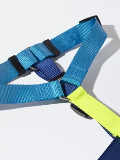 PARFOIS Pet Collection><noscript><img width=