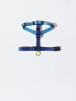 PARFOIS Pet Collection><noscript><img width=