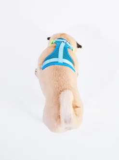 PARFOIS Pet Collection|Umhängetaschen>Geschirr F&uuml;r Hunde Blau