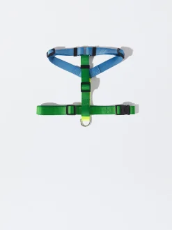 PARFOIS Pet Collection><noscript><img width=