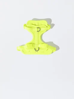 PARFOIS Pet Collection><noscript><img width=