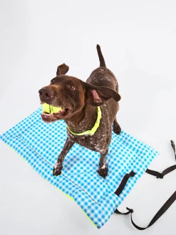 PARFOIS Pet Collection>Hundebett Blau