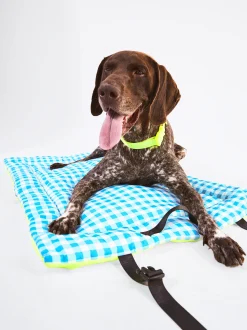 PARFOIS Pet Collection><noscript><img width=