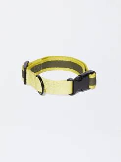 PARFOIS Pet Collection>Hundehalsband Khaki