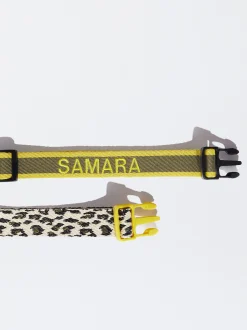 PARFOIS Pet Collection>Hundehalsband Khaki