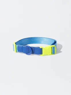 PARFOIS Pet Collection>Hundehalsband Blau