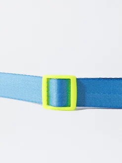 PARFOIS Pet Collection><noscript><img width=