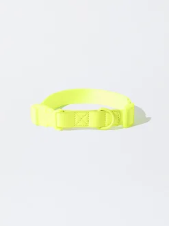 PARFOIS Pet Collection>Hundehalsband Gelb
