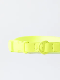 PARFOIS Pet Collection><noscript><img width=