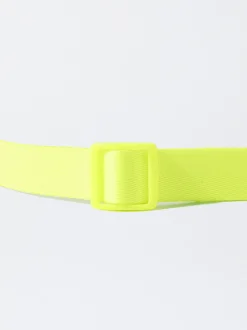 PARFOIS Pet Collection><noscript><img width=