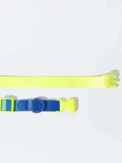 PARFOIS Pet Collection><noscript><img width=