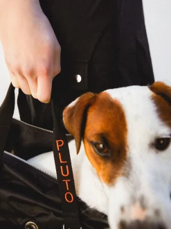 PARFOIS Pet Collection|Umhängetaschen>Hundetransporttasche Schwarz