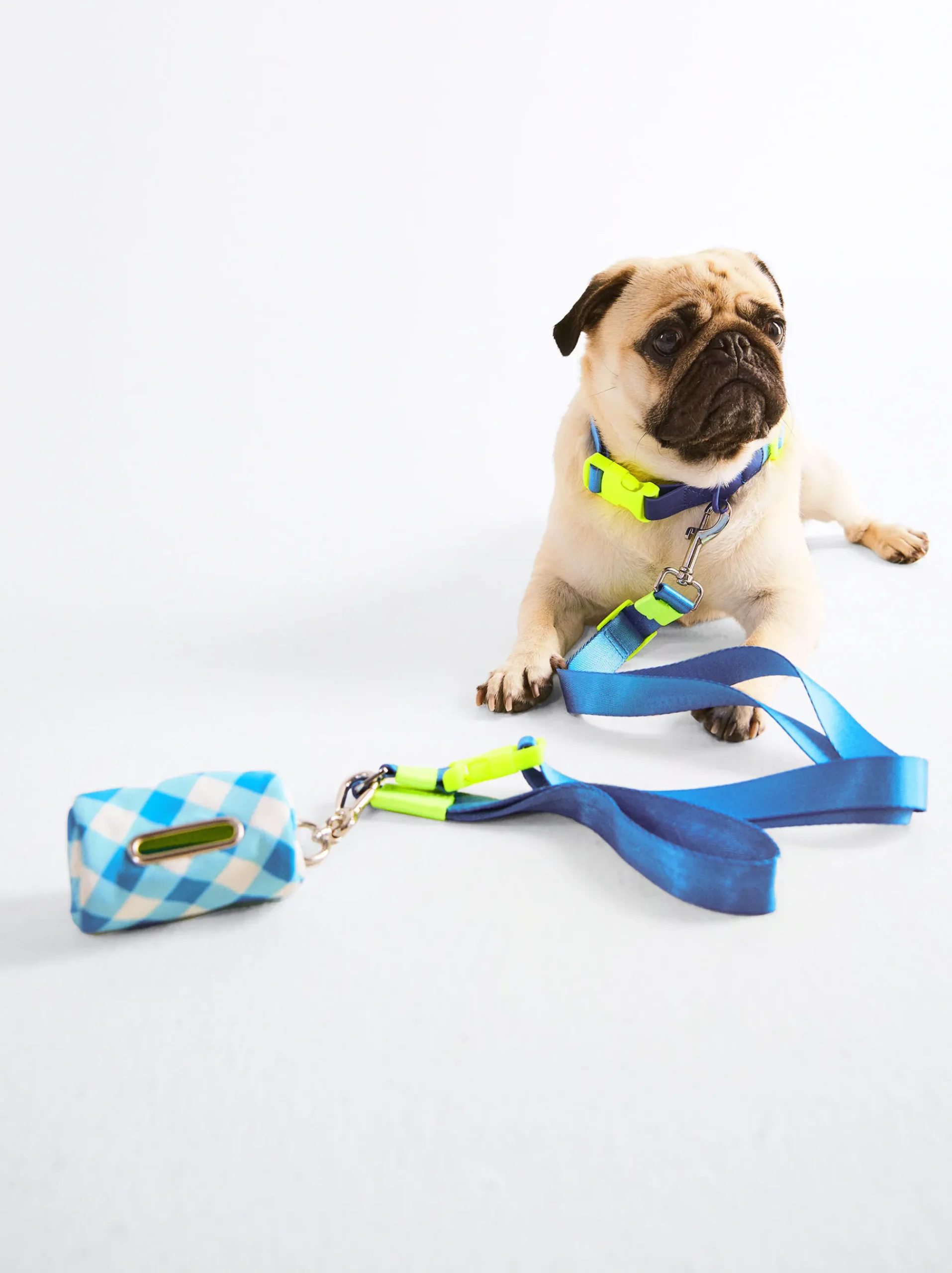 PARFOIS Pet Collection>Verstellbare Hundeleine Blau