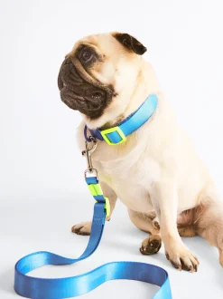 PARFOIS Pet Collection><noscript><img width=