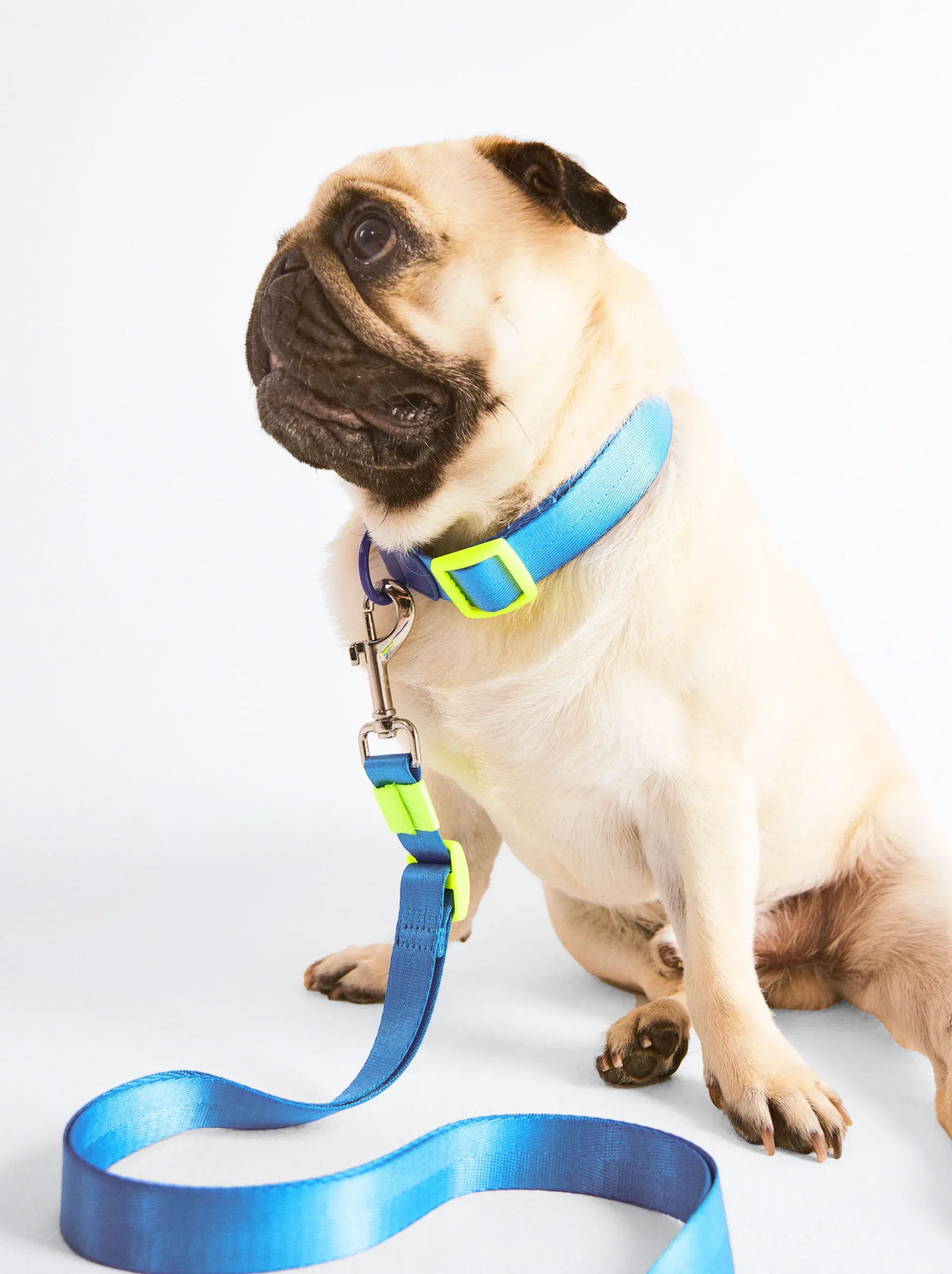 PARFOIS Pet Collection>Verstellbare Hundeleine Blau