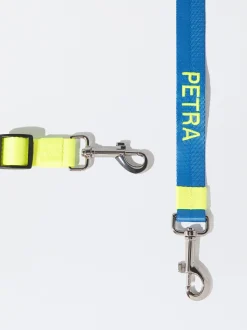 PARFOIS Pet Collection><noscript><img width=