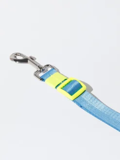 PARFOIS Pet Collection><noscript><img width=