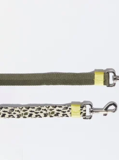 PARFOIS Pet Collection><noscript><img width=