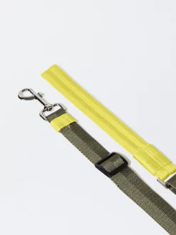 PARFOIS Pet Collection><noscript><img width=