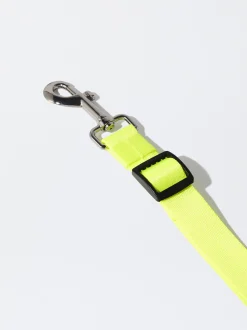 PARFOIS Pet Collection><noscript><img width=