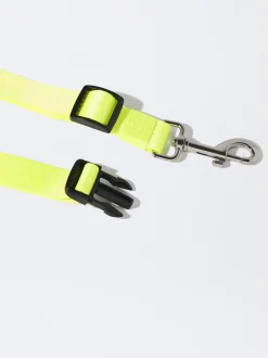 PARFOIS Pet Collection><noscript><img width=