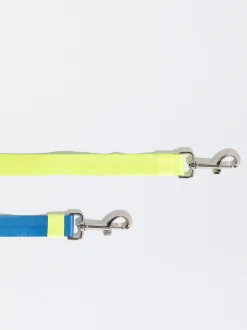 PARFOIS Pet Collection><noscript><img width=