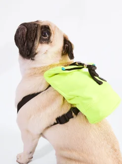 PARFOIS Pet Collection>Verstellbarer Rucksack F&uuml;r Hunde Gelb
