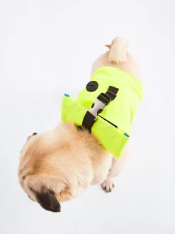 PARFOIS Pet Collection><noscript><img width=