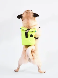 PARFOIS Pet Collection><noscript><img width=